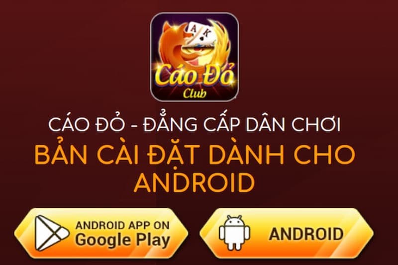 Cáo Đỏ Club